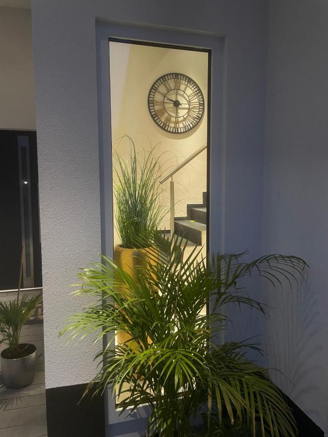 Ferienwohnungen Im Palmengarten - 40 Qm 海特斯海姆 外观 照片